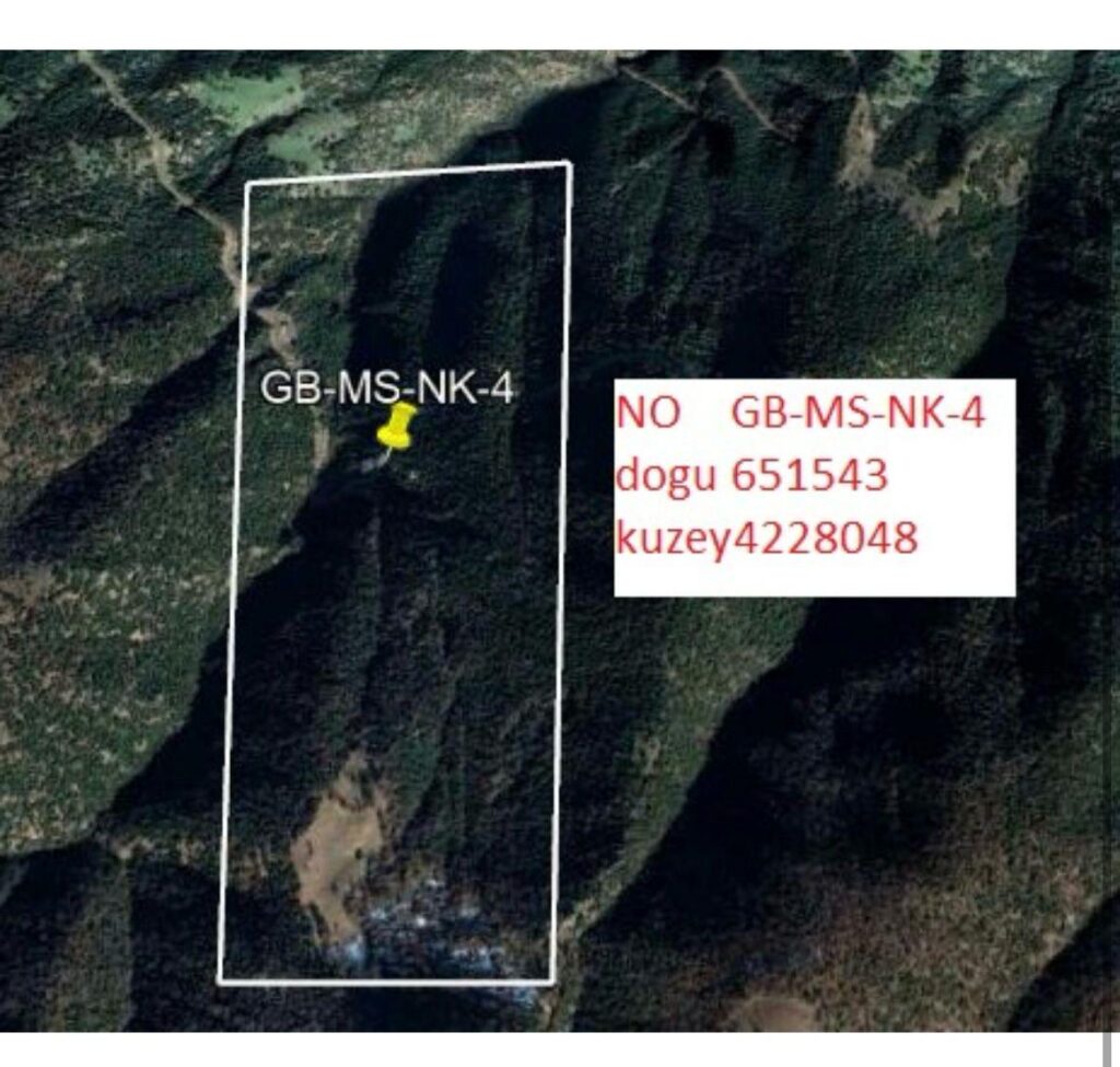 Manisa Gold location - region 4