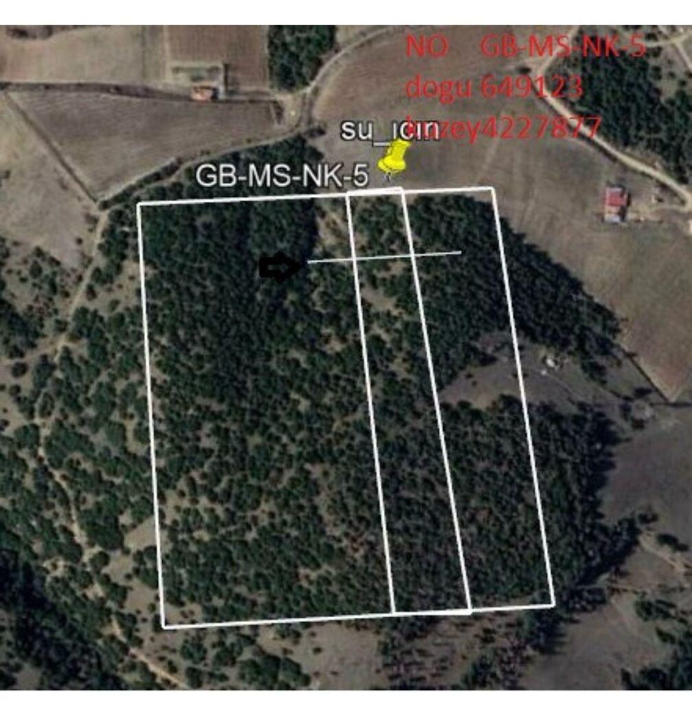 Manisa Gold location - region 5